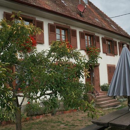 Maison D'Alsace Breitenbach-Haut-Rhin 外观 照片
