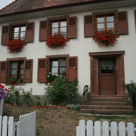 Maison D'Alsace Breitenbach-Haut-Rhin 外观 照片
