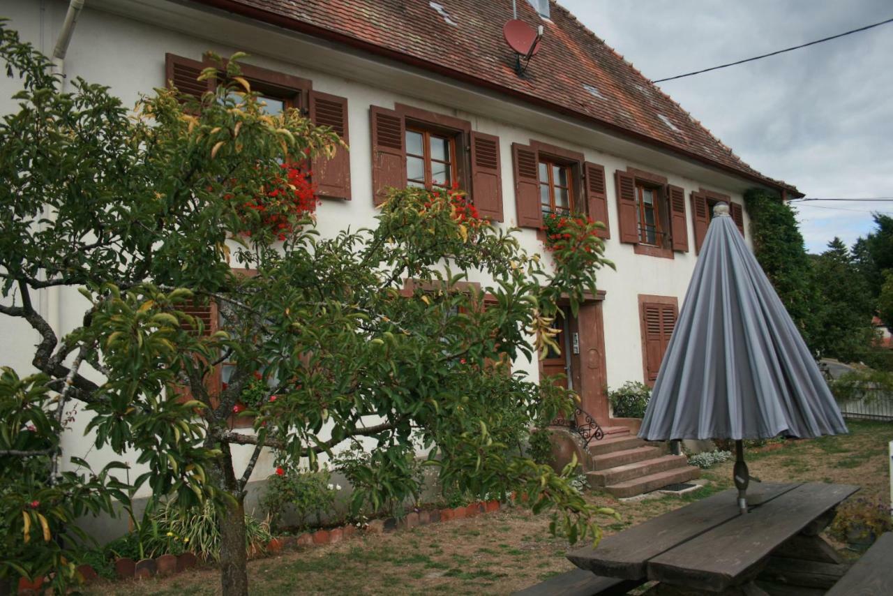 Maison D'Alsace Breitenbach-Haut-Rhin 外观 照片