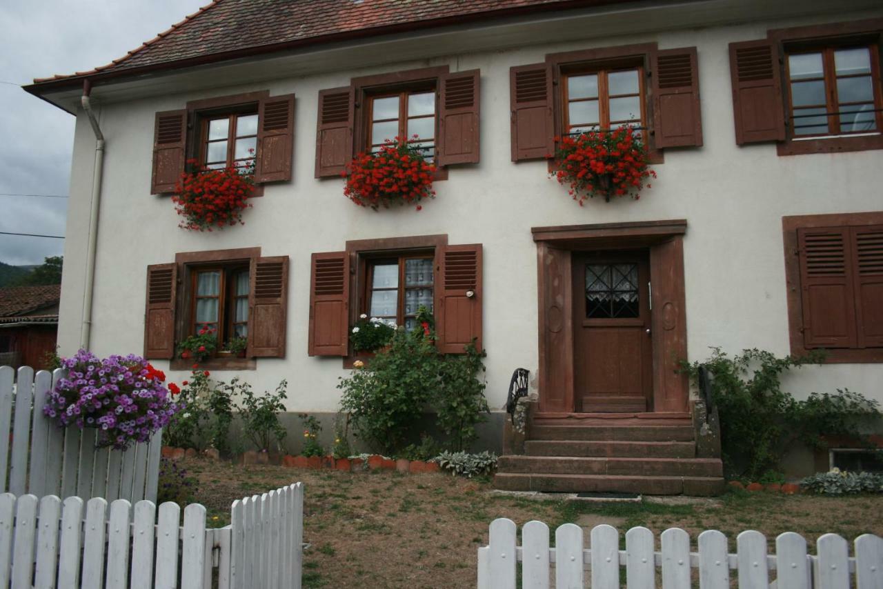 Maison D'Alsace Breitenbach-Haut-Rhin 外观 照片